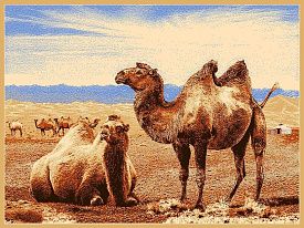 Овальный шерстяной пейзажный ковер Hunnu 6S873 82 верблюды
